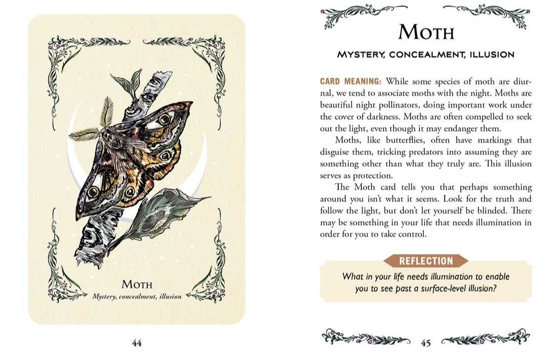 The Green Witch's Oracle Deck