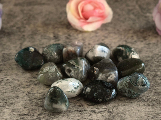 Moss Agate (For Stable Persistence) - Tumbled Stone