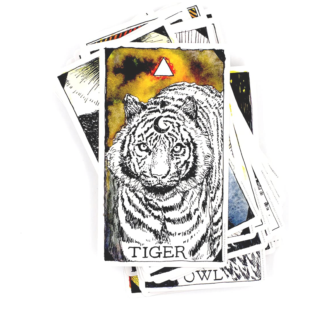 The Wild Unknown Animal Spirit Deck
