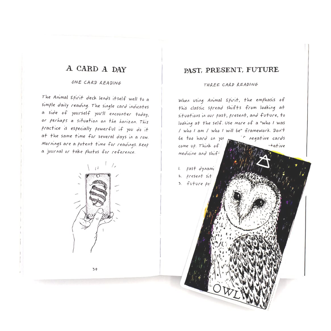 The Wild Unknown Animal Spirit Deck