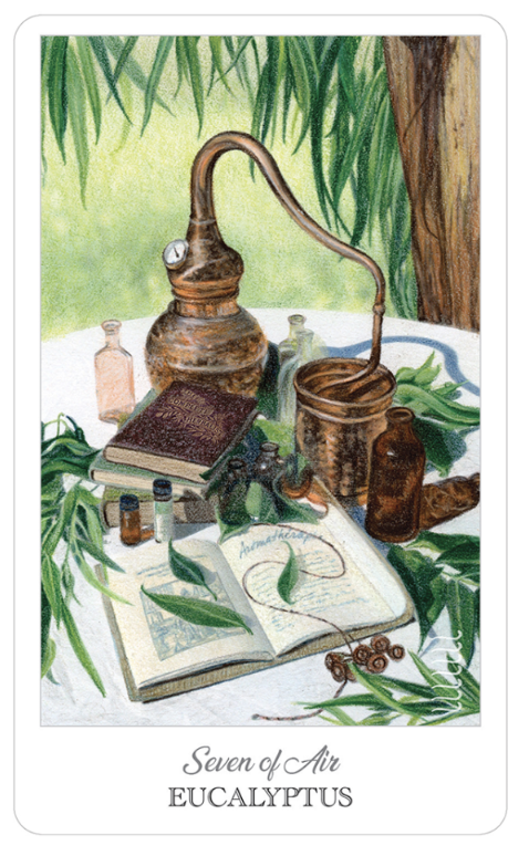 Herbcrafter's Tarot