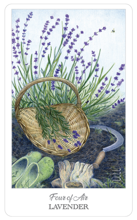 Herbcrafter's Tarot