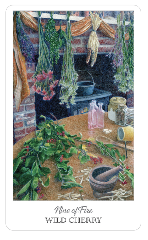 Herbcrafter's Tarot