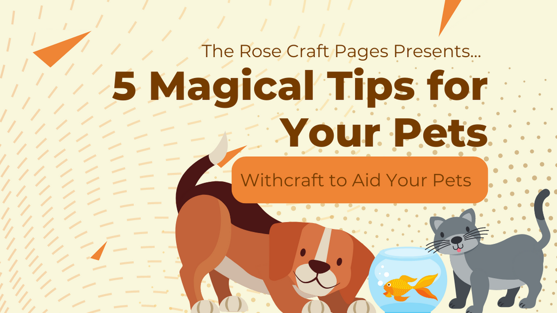 5 Magical Tips for Your Pets