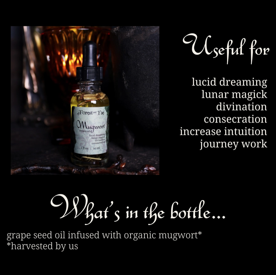 Mugwort Oil