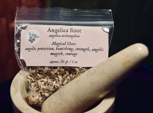 Angelica Root for Angelic Protection