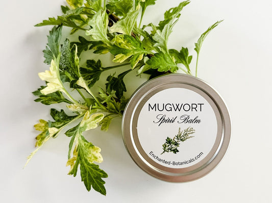Mugwort Spirit Balm