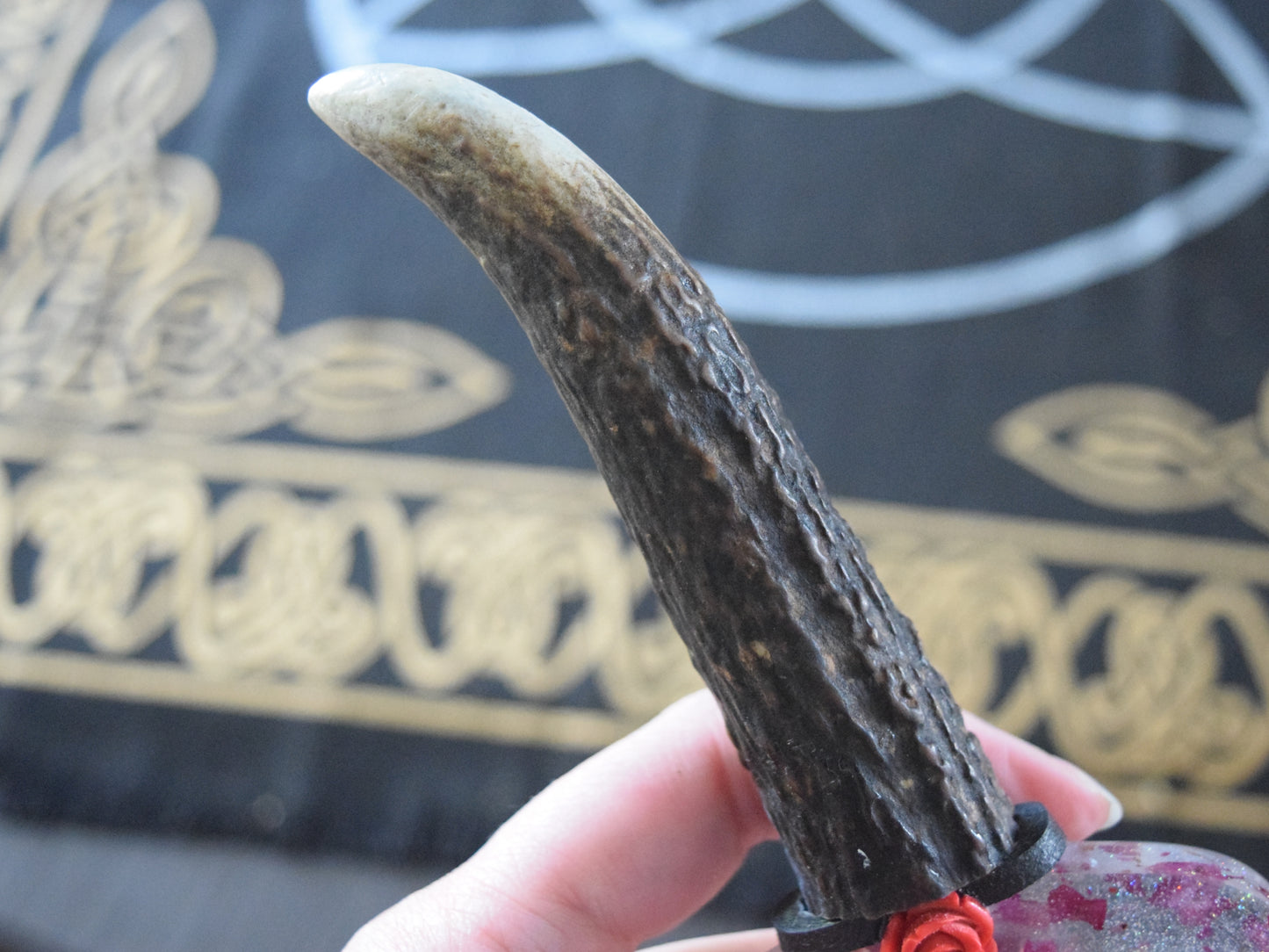 Rose Petal Resin Athame with Antler Handle