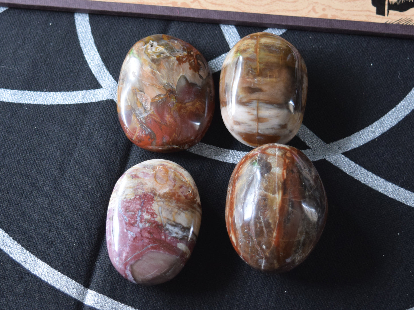 Petrified Wood (For Past Lives) - Palm Stone