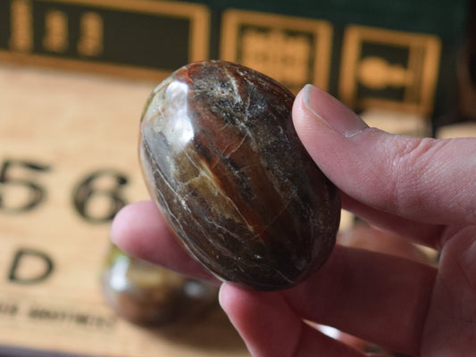Petrified Wood (For Past Lives) - Palm Stone