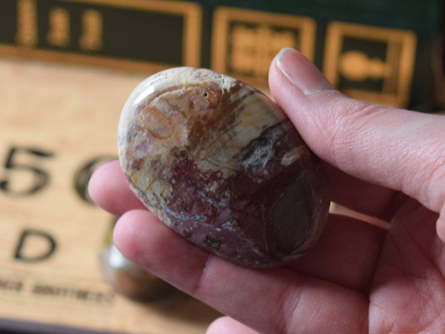 Petrified Wood (For Past Lives) - Palm Stone