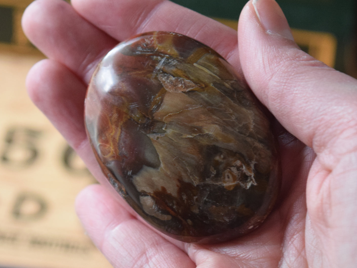 Petrified Wood (For Past Lives) - Palm Stone