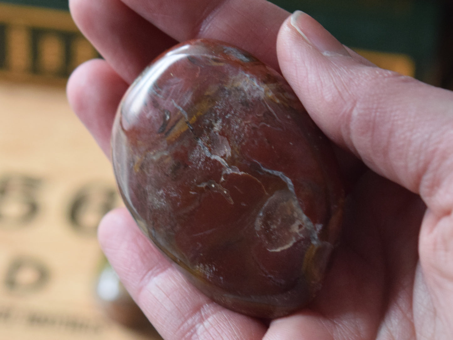 Petrified Wood (For Past Lives) - Palm Stone