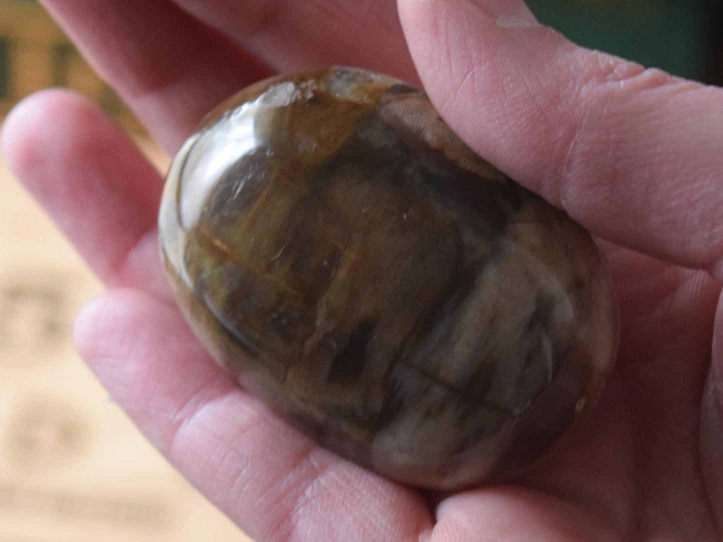 Petrified Wood (For Past Lives) - Palm Stone