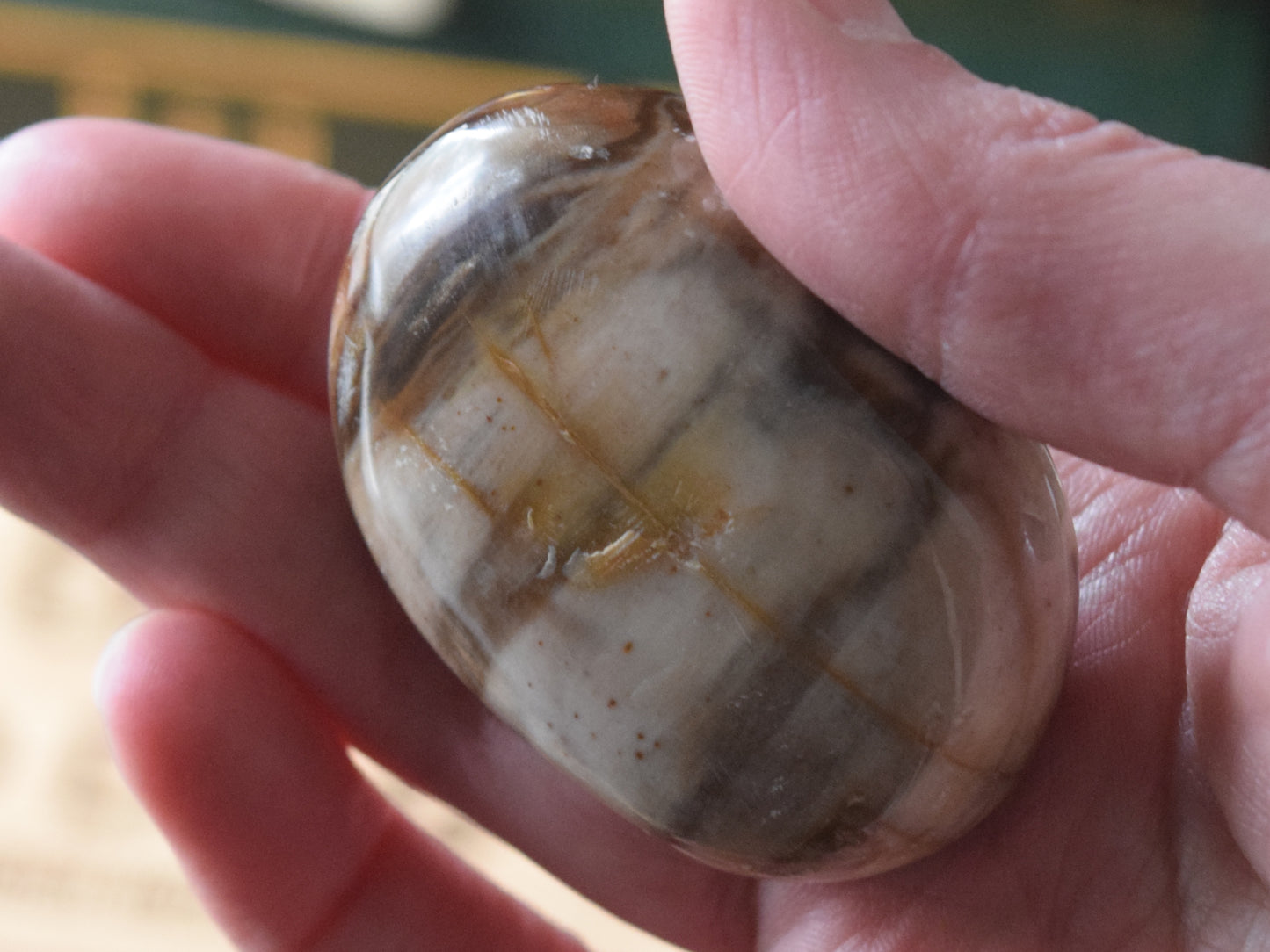 Petrified Wood (For Past Lives) - Palm Stone